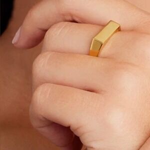 Gorjana New‎ Size 8 18k Gold Plated Brass Wilder Bar Ring Minimal Quiet Luxury